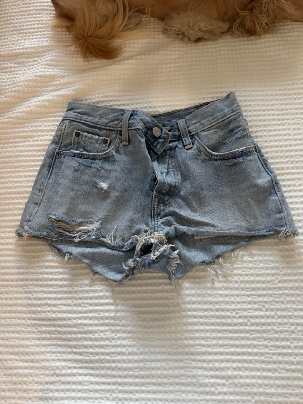 Levi's Light Blue Distressed Denim Cutoff Shorts